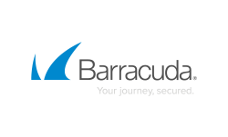 barracuda